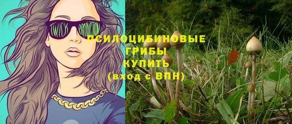 шишки Аркадак
