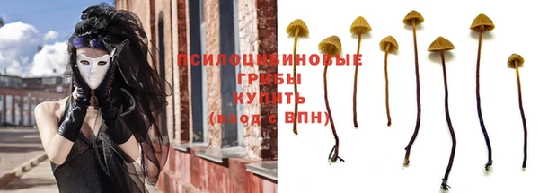 ГАЛЛЮЦИНОГЕННЫЕ ГРИБЫ Армянск