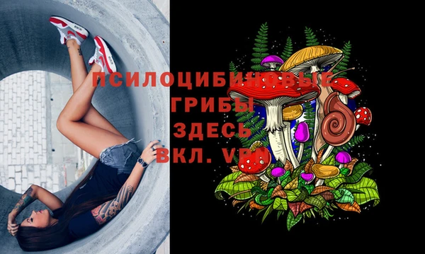 MDMA Арсеньев
