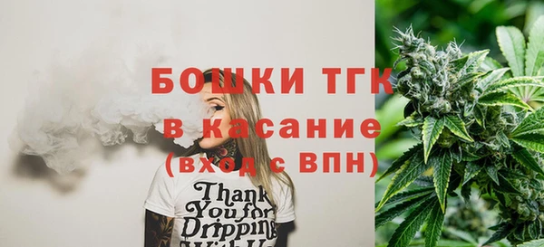 шишки Аркадак